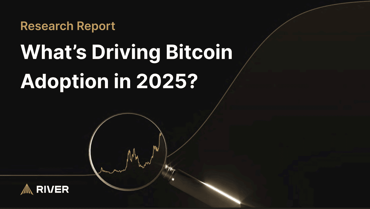What's Driving Bitcoin Adoption in 2025